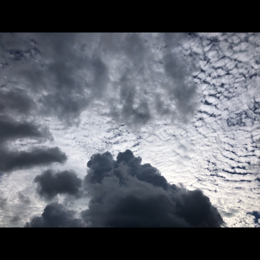 Meet your Posher, Anastasia